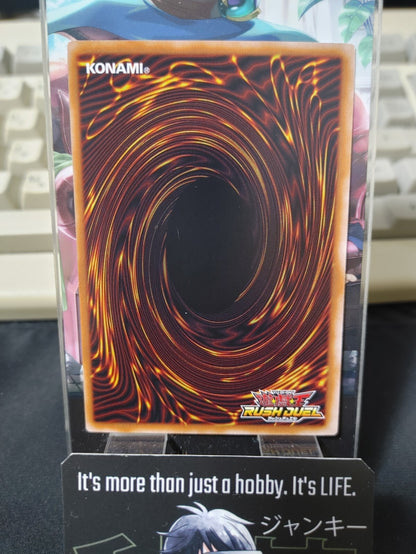 47429640