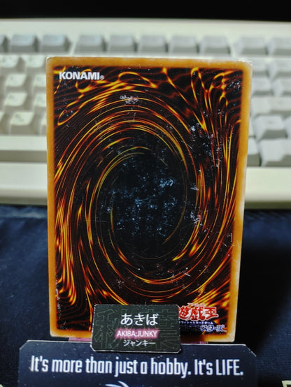 Abyss Flower Yugioh Yu-Gi-Oh Konami OCG JAPAN