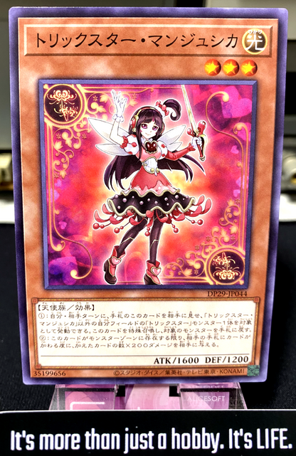 47428022