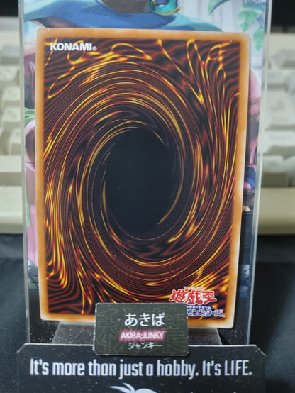 47435281
