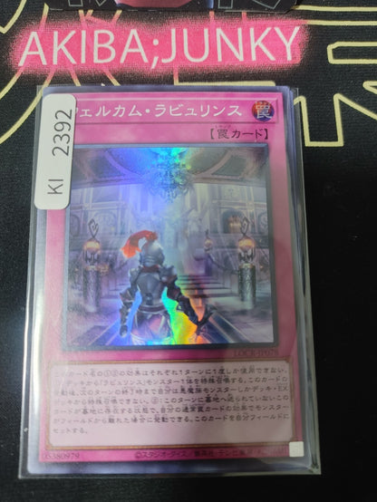 47436686