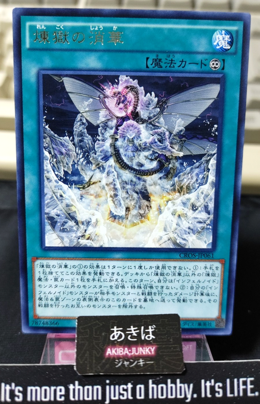 47430064