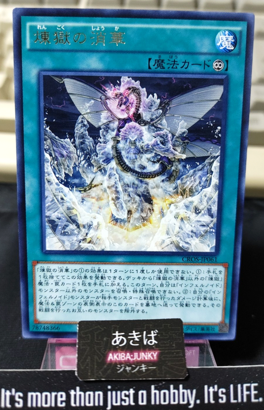 47430064