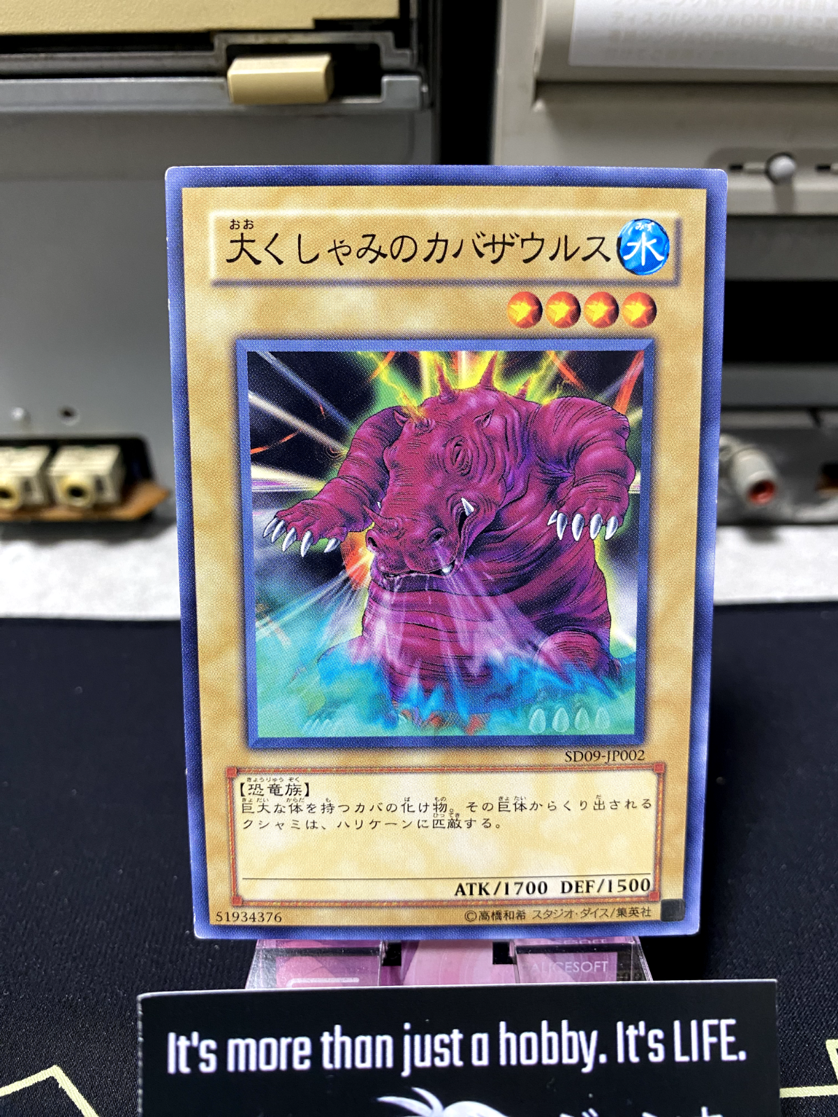 47430034