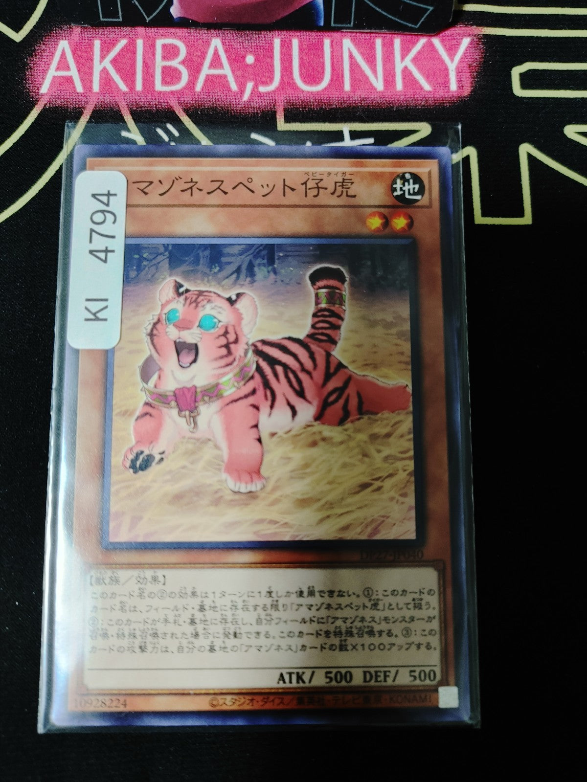 Amazoness Baby Tiger Yugioh DP27-JP040 Yu-Gi-Oh Konami OCG JAPAN