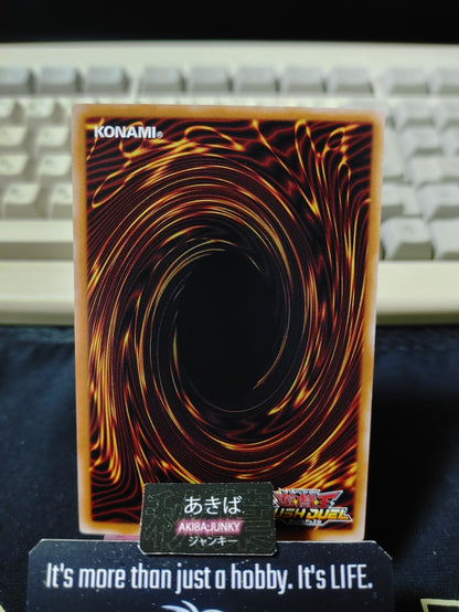Fiddlebadour Yugioh RD/KP15-JP012 Rush Duel Yu-Gi-Oh Konami JAPAN