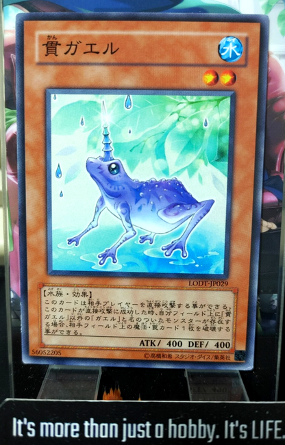 47427987