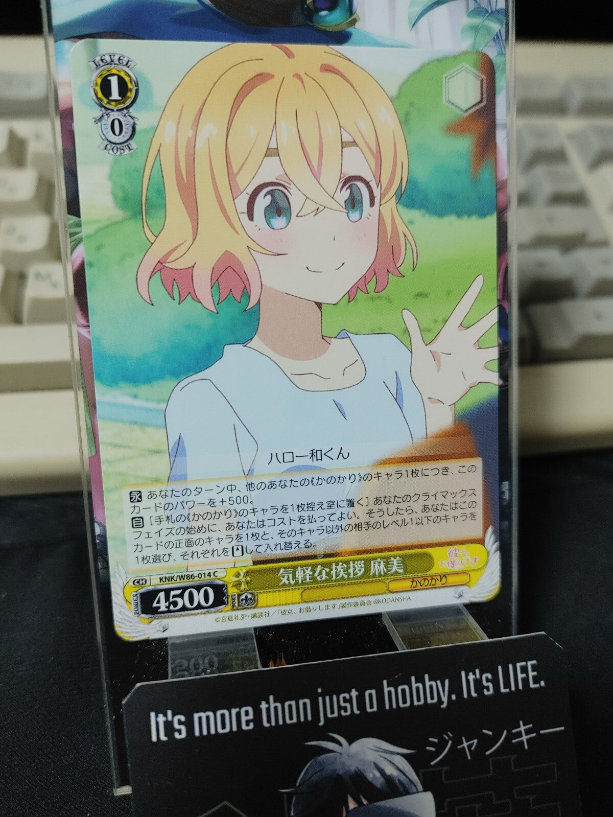 47431059
