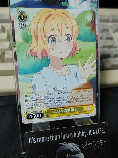 47431059