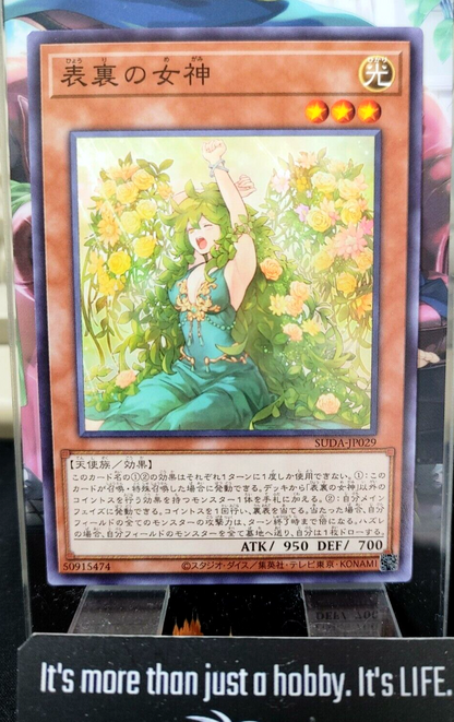 47439817