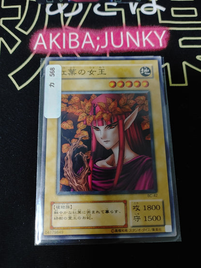 47430794