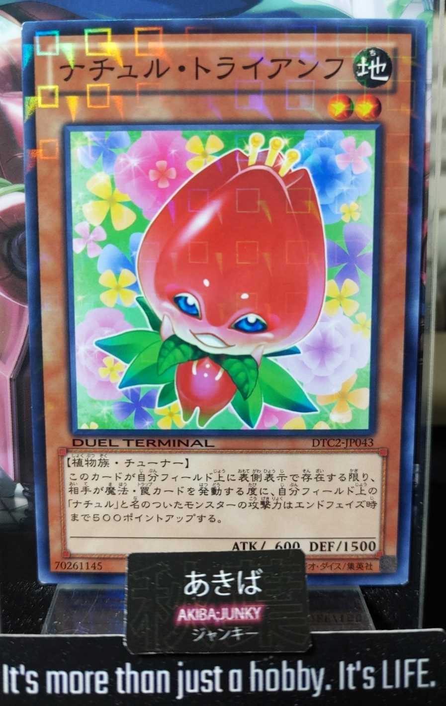 47426437