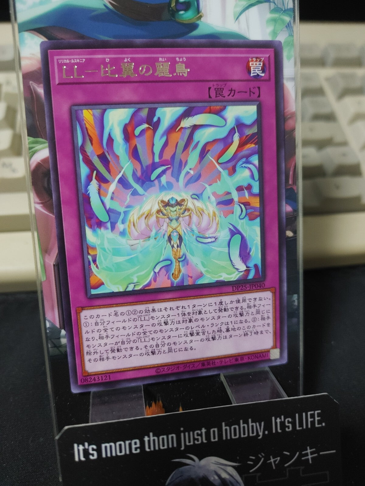 47431534