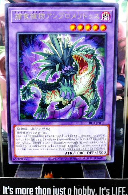 47423876
