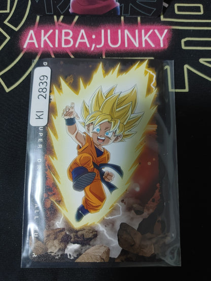 47431254