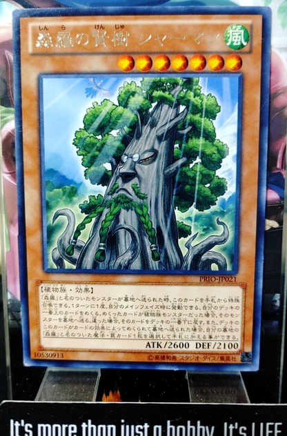 47430480