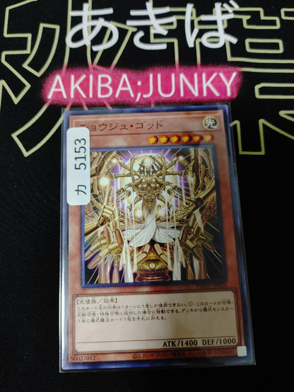 47431053