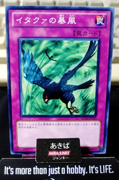 Windstorm of Etaqua Yugioh SD19-JP030 Yu-Gi-Oh Konami OCG JAPAN