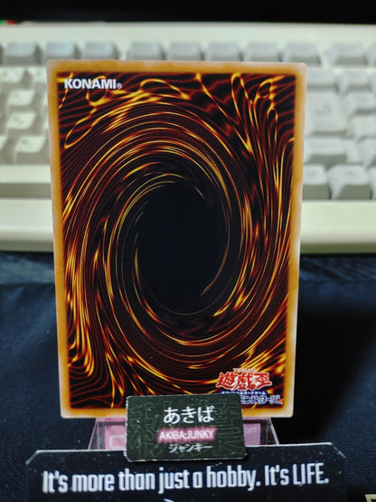 47432204