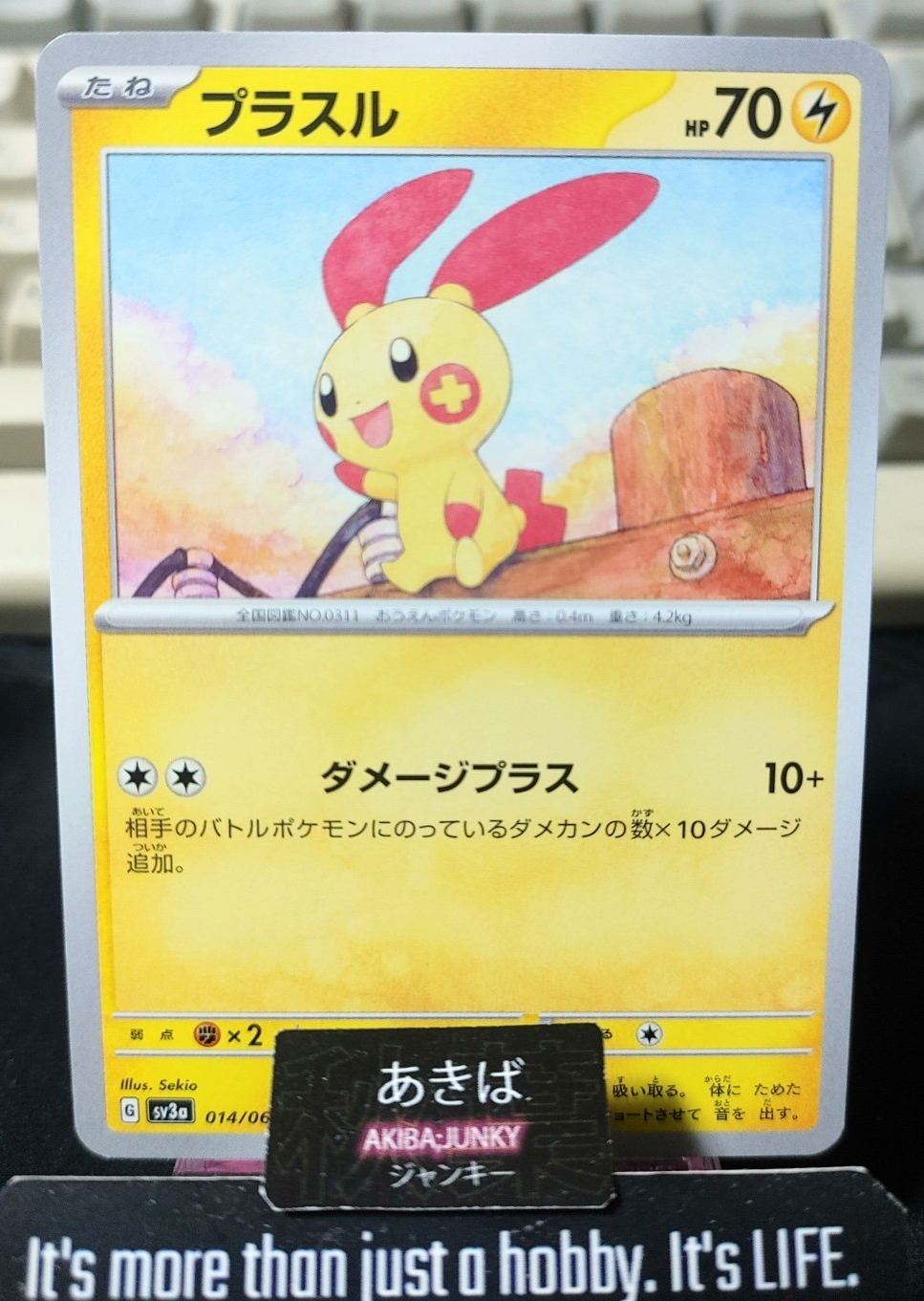 Pokemon Plusle SV3a 014/062 Card Japanese JAPAN