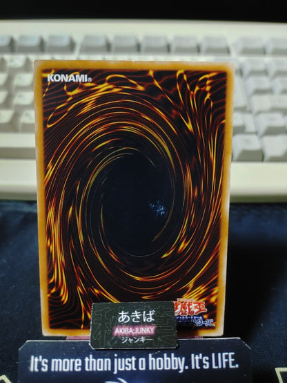 Treeborn Frog Yugioh SOI-JP025 Rare Yu-Gi-Oh Konami OCG JAPAN