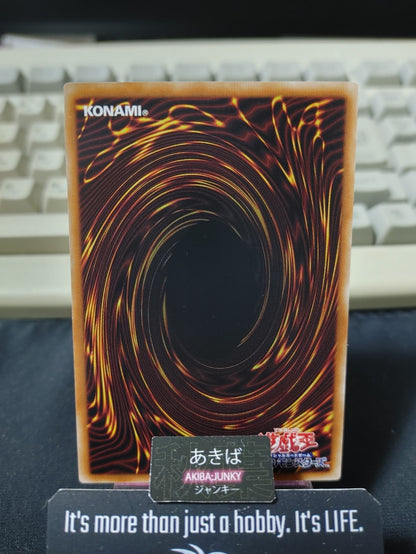 Wipeout Trap Hole Yugioh DUNE-JP077 Rare Konami OCG JAPAN