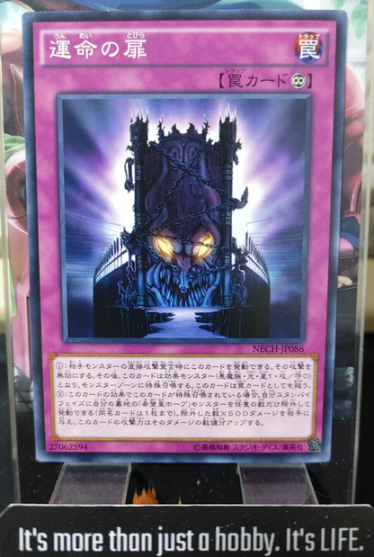 47425504