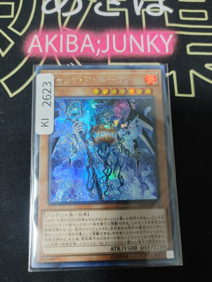 47426876