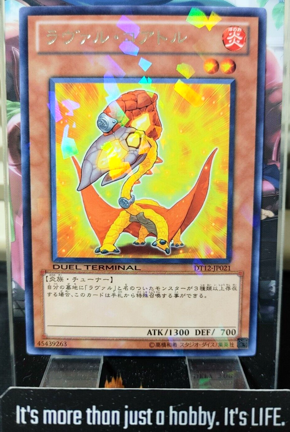 47435046
