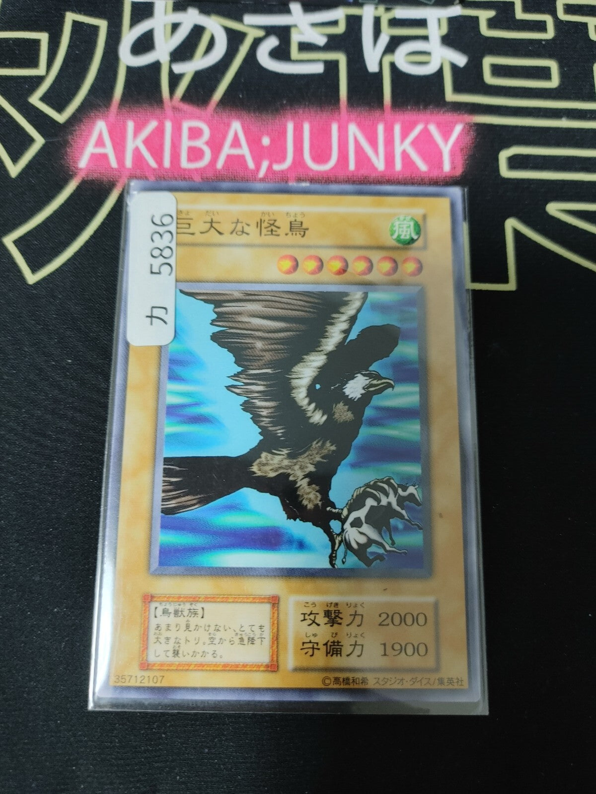 47435311
