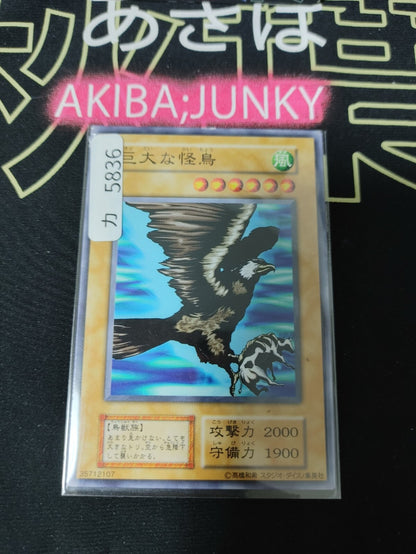 47435311