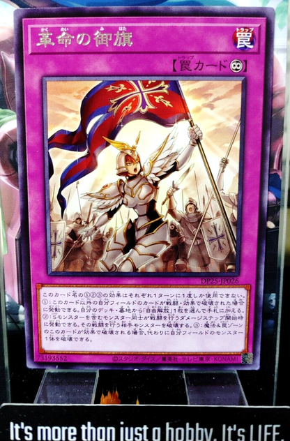 47431528