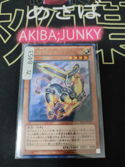 47429901