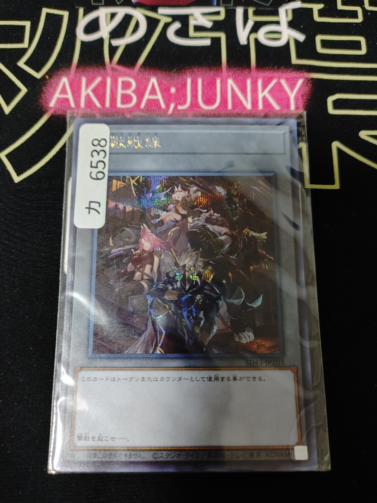 47434553