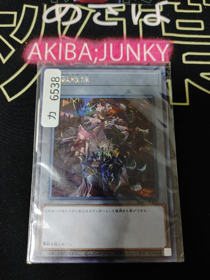 47434553