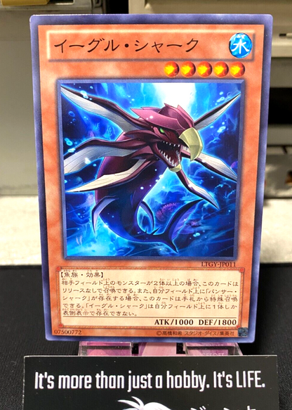 47431080