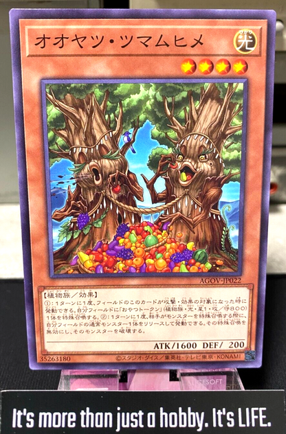 47426602