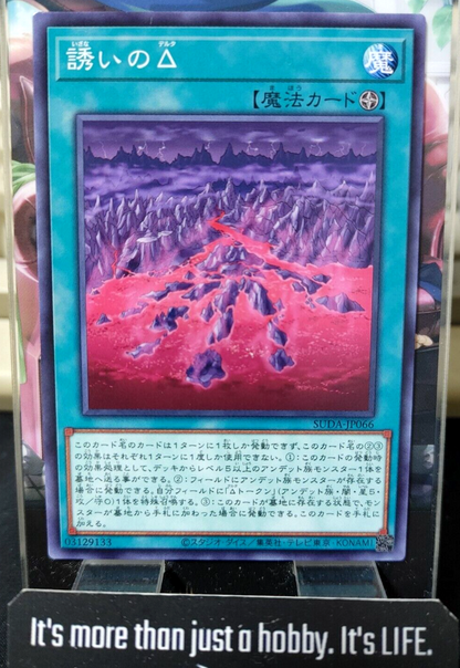 47437005