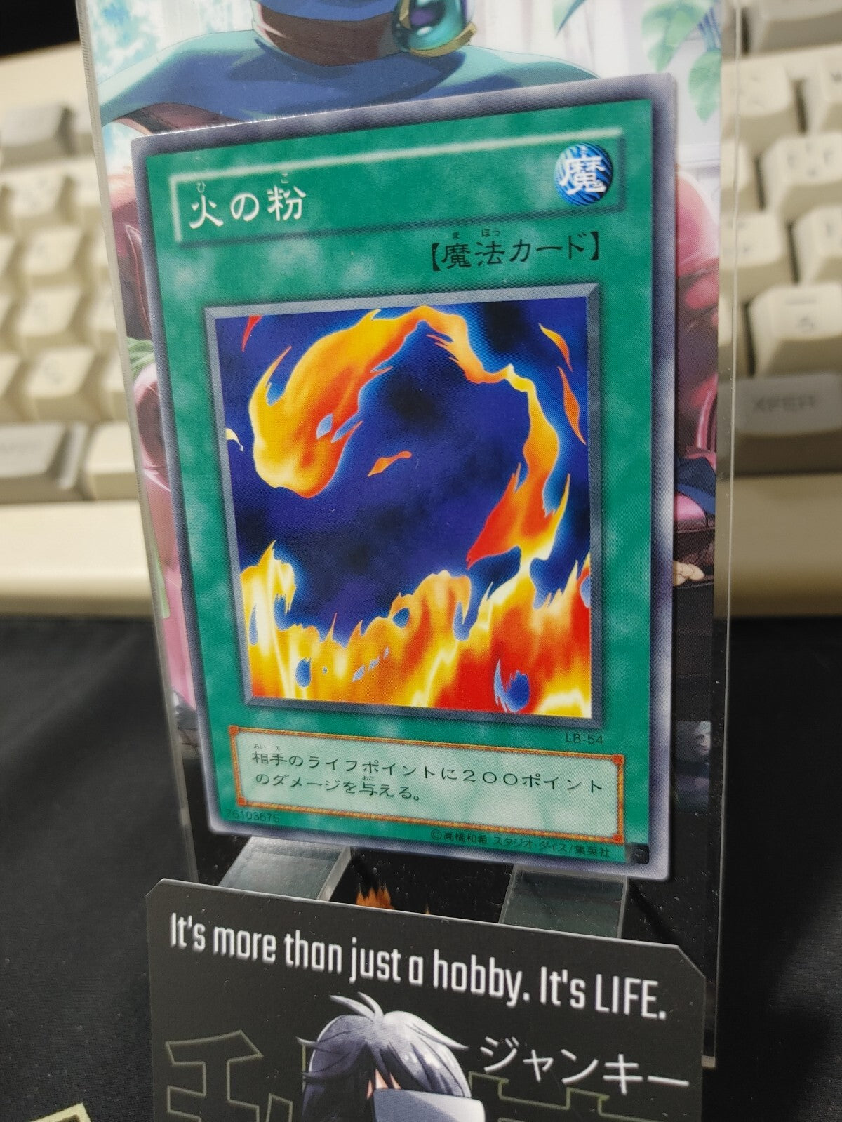 47429246