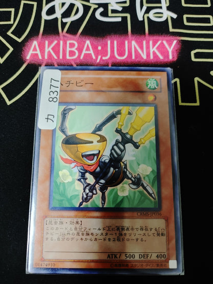 47427531