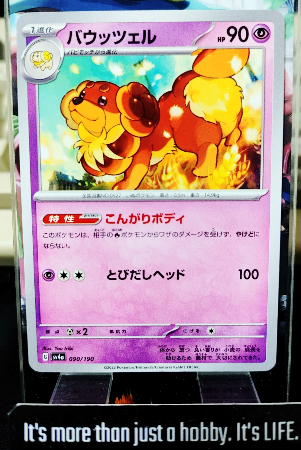47430469