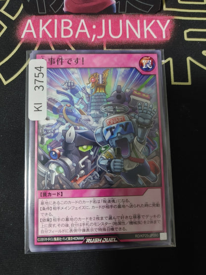 47439807