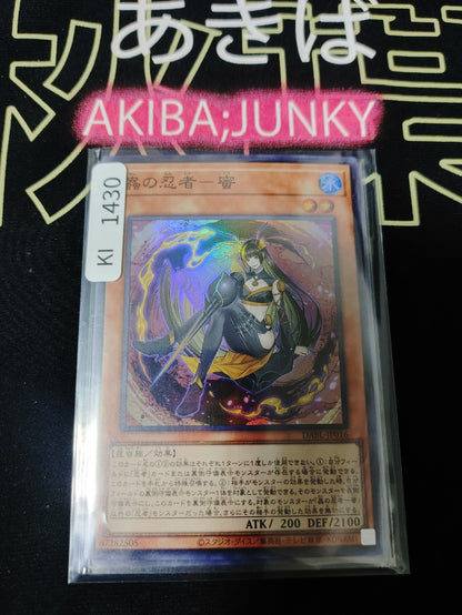 47431300