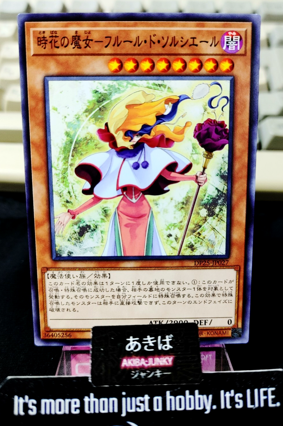47434304