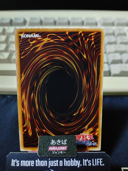 Raidraptor - Blaze Falcon Yugioh CROS-JP048 Rare Konami OCG JAPAN