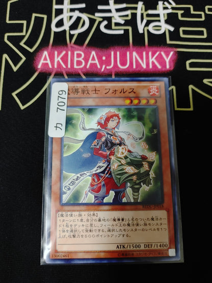 47429612
