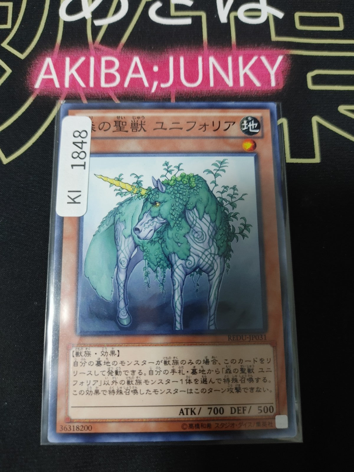 47425616