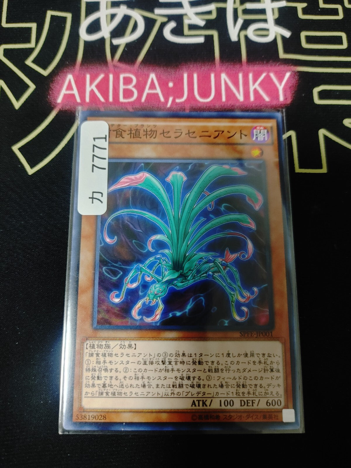 47425574