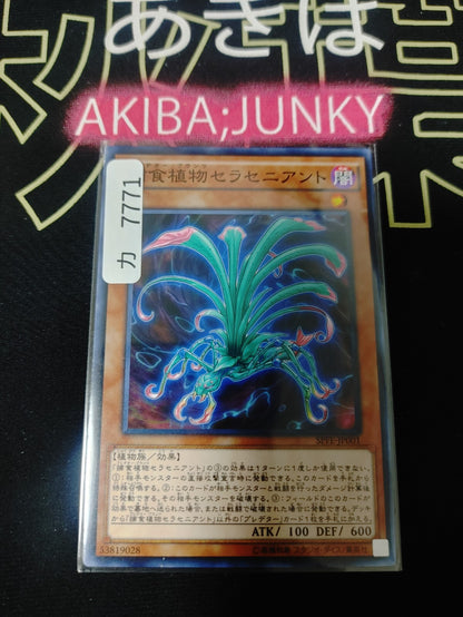47425574
