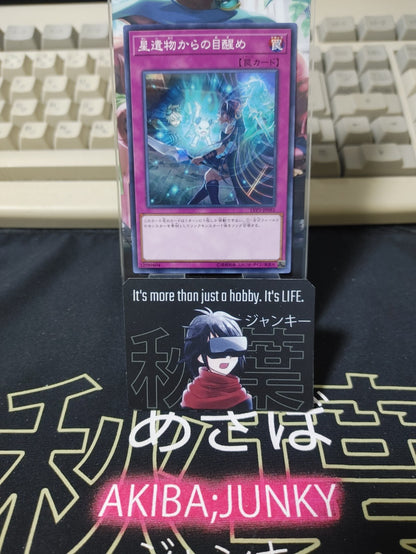 47431527
